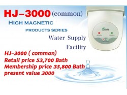 High magnetic products series HJ-3000 ( common)